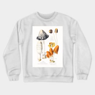 Mushroom species Crewneck Sweatshirt